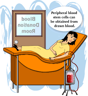 blooddonation.gif